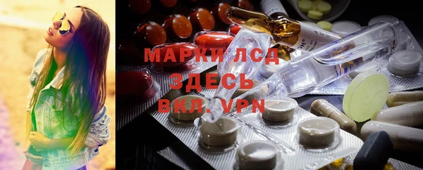 мяу мяу мука Лабытнанги