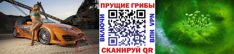 где продают наркотики Темрюк Псилоцибиновые грибы прущие грибы