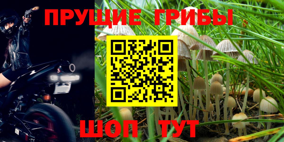 Галлюциногенные грибы ЛСД  Галлюциногенные грибы прущие грибы  Темрюк 